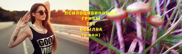 мескалин Баксан