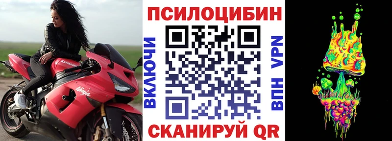 где можно купить наркотик  Питкяранта  Галлюциногенные грибы MAGIC MUSHROOMS 
